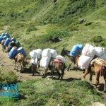 Manaslu trek route, Manaslu Trekking Trails, Annapurna Circuit trekking trail, Around Manaslu Circuit trek, Annapurna Manaslu trek