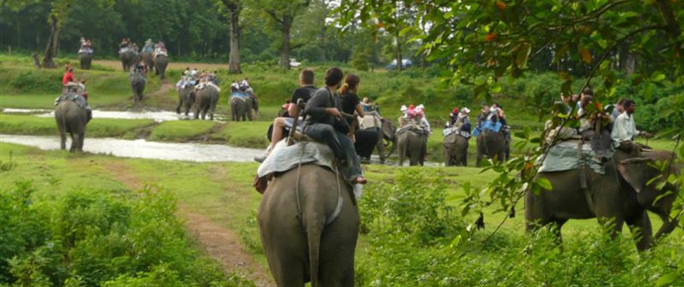 annapurna circuit trek pokhara and chitwan package tour73