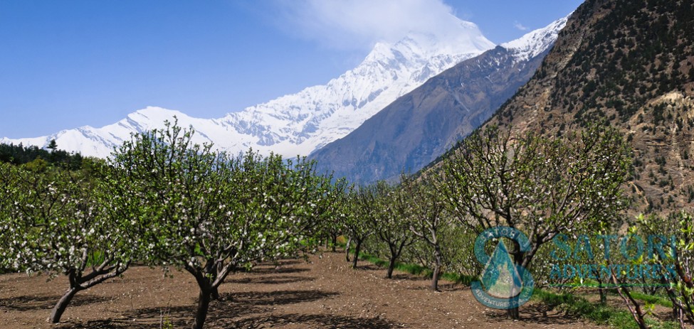 annapurna circuit trek81