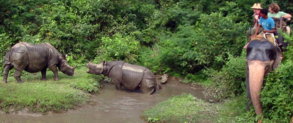 annapurna view trek rafting jungle safari and mountain flight tour29