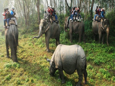 annapurna bc trek pokhara jungle safari and mountin fligt tour92