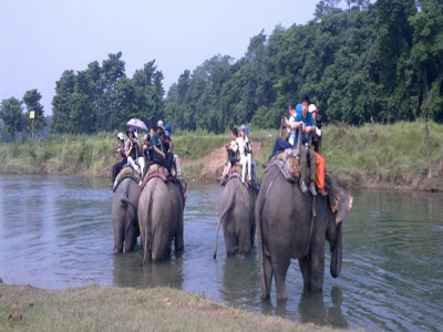 chitwan national park6