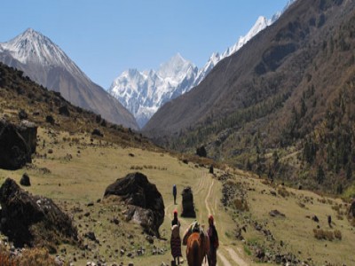 langtang helambu trek mountain flight jungle safari34