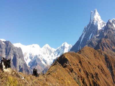 mardi himal trek69