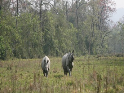 shuklaphanata wildlife reserve98