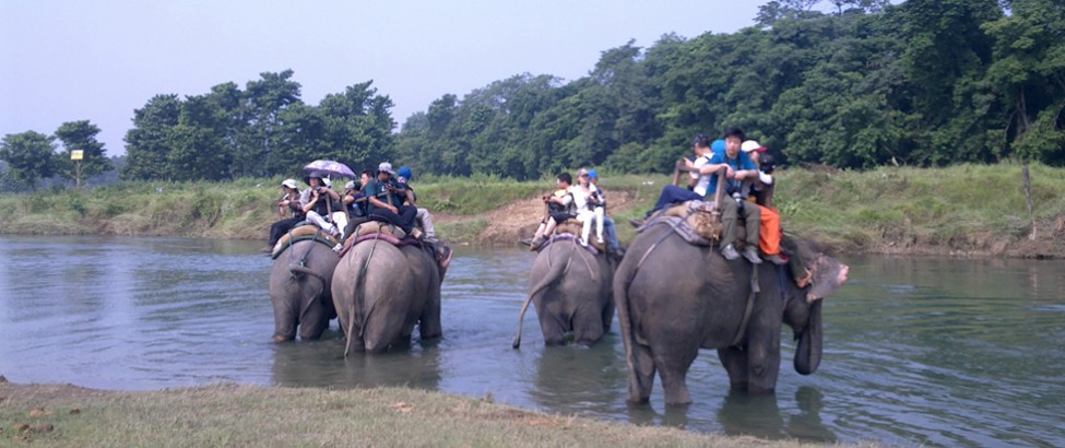 chitwan national park58