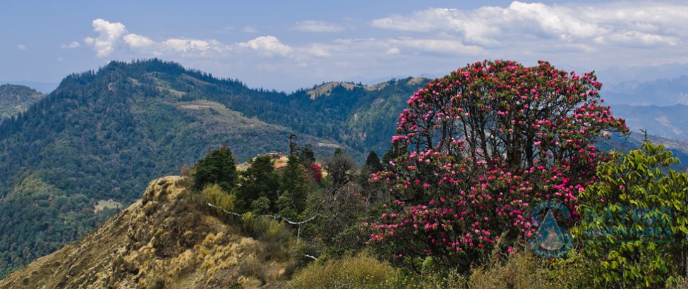 dhaulagiri circuit trekking89