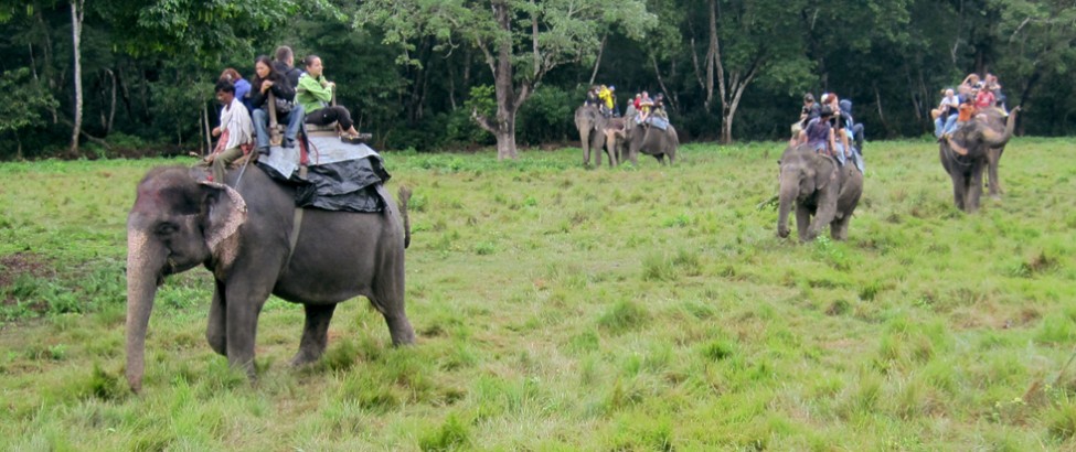 Elephant Safari in Chitwan National Park.