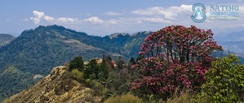 ghorepani poon hill trek85