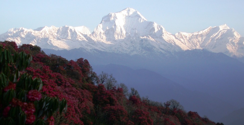 ghorepani poon hill treks54