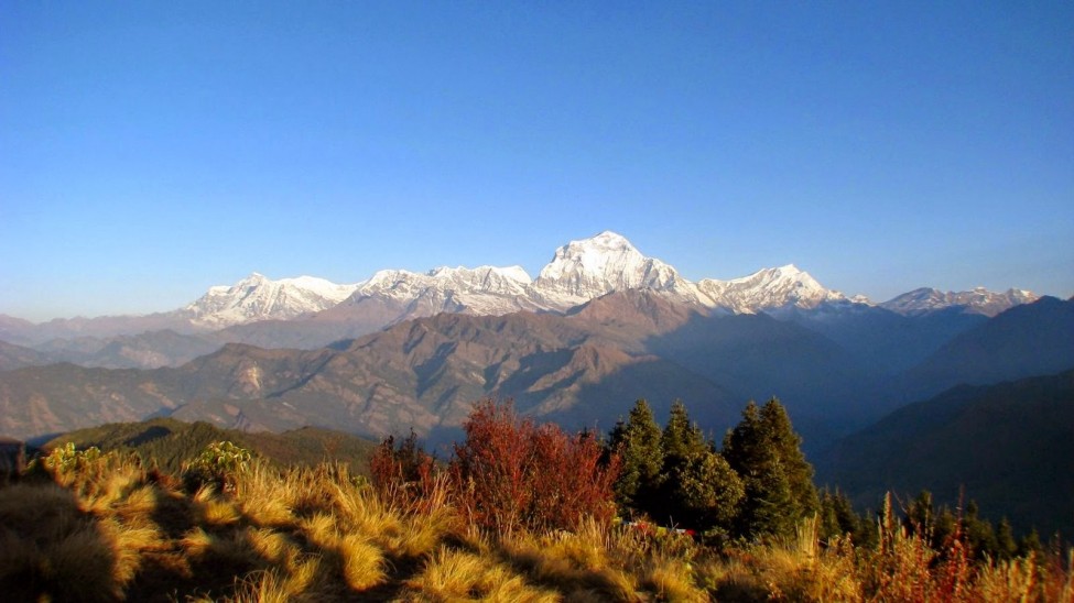 ghorepani poon hill treks9