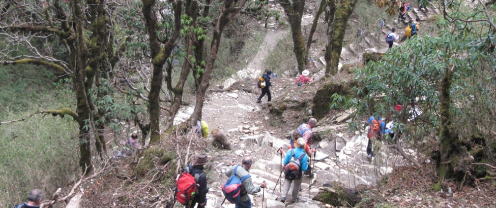 introduction to annapurna for family and friends tour49