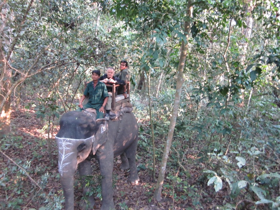 Jungle Safari in Nepal