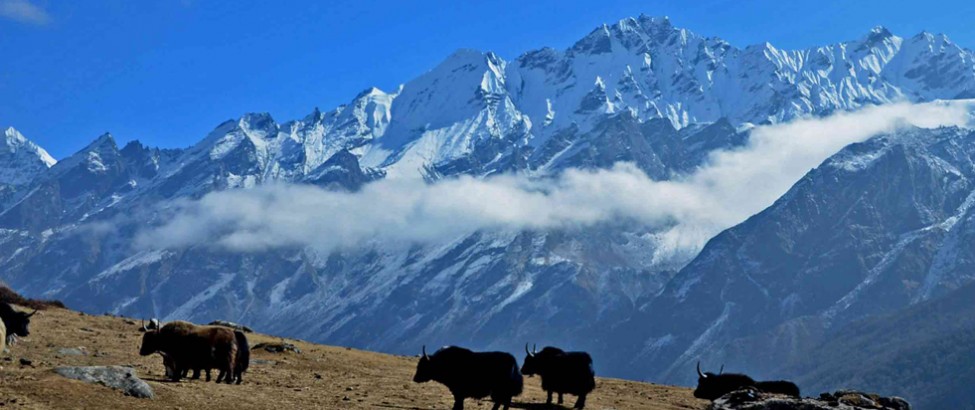 langtang gosaikunda trek41