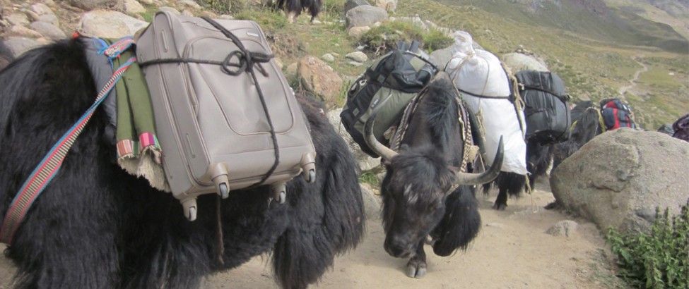 lhasa everest base camp tour38