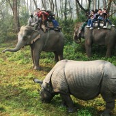 annapurna bc trek pokhara jungle safari and mountin fligt tour92