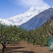 annapurna circuit trek81