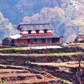 annapurna ghandruk trekking25