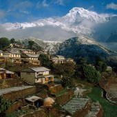 annapurna ghandruk trekking29