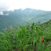chisapani nagarkot trek93