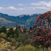 dhaulagiri circuit trekking89