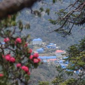 ghorepani poon hill trek32