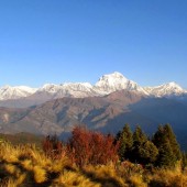 ghorepani poon hill treks9