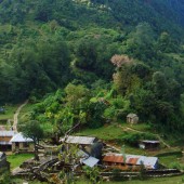 panchase hill trekking23