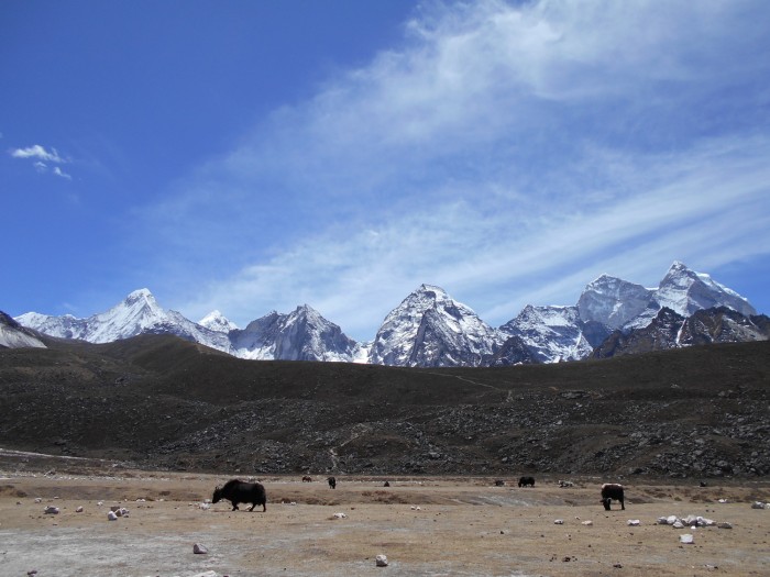  Amadablam Expedition Spring 2016 