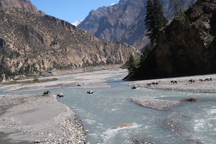  Putha Expedition Autumn 2019 