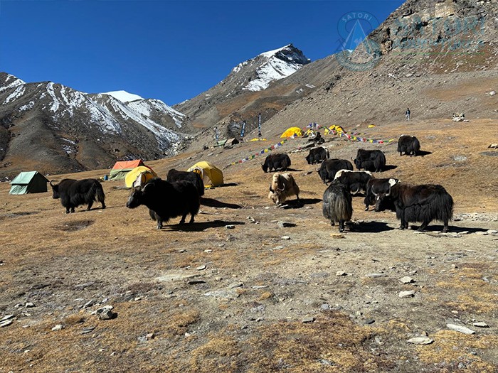  Putha Expedition Autumn 2024 