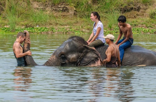 Two nights three days Chitwan Tour