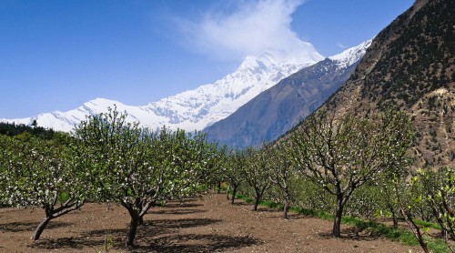 Annapurna Circuit Trekking FAQs