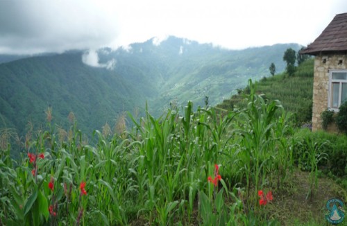 Chisapani Nagarkot Trek