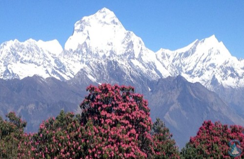 Dhampus Sarangkot Trekking