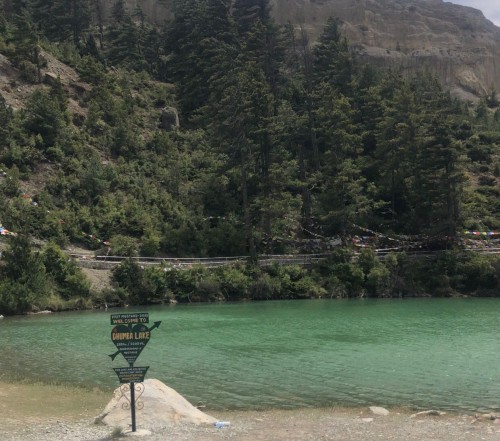 Trek in Fly out Trek