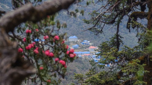 Ghorepani Poon Hill Trek