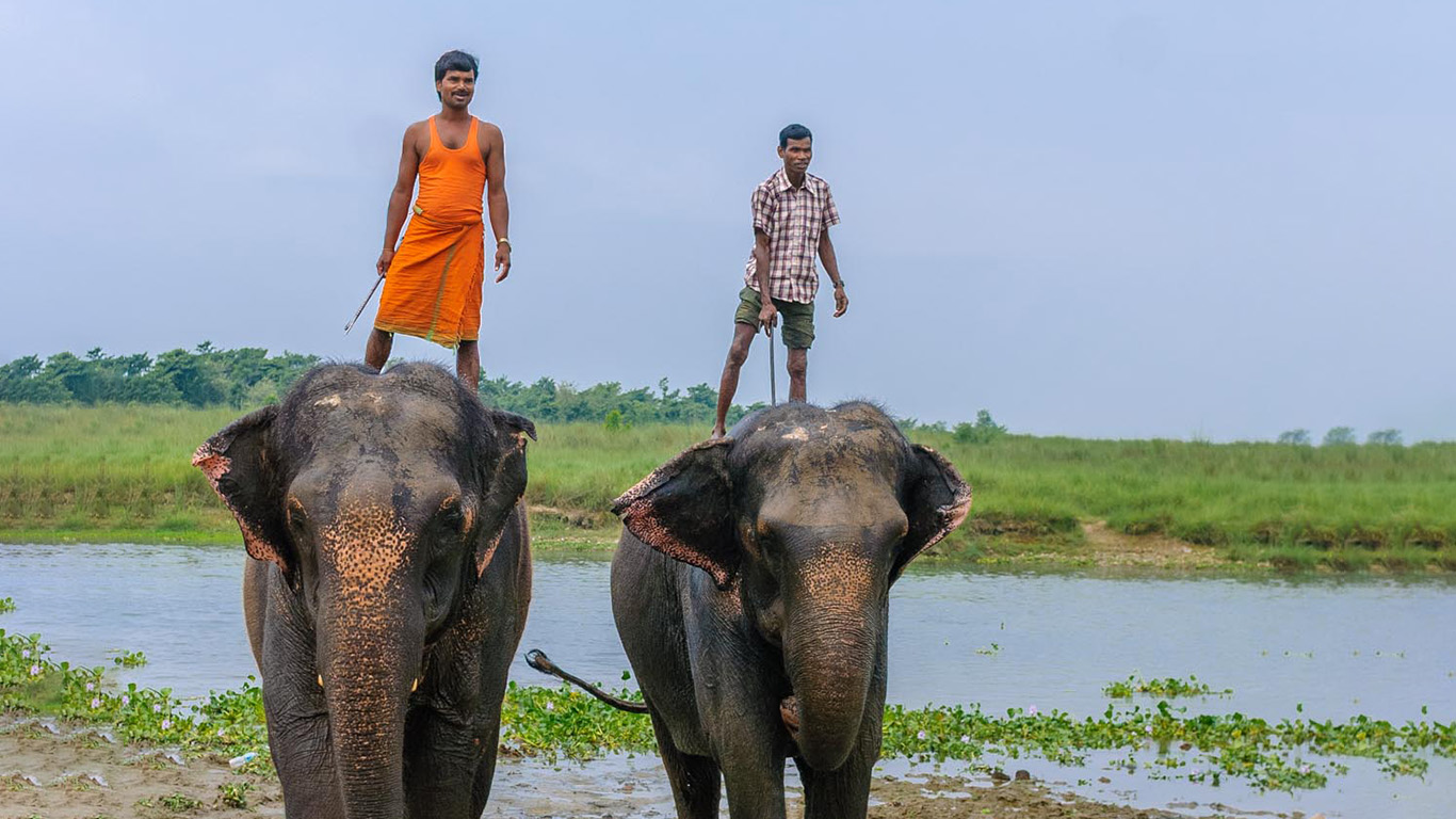 Three nights four days Chitwan Tour