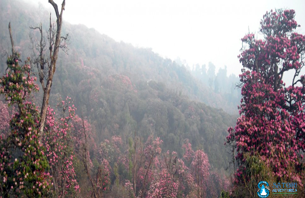  Annapurna Base Camp Short Trek 