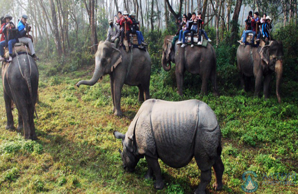  Annapurna BC Trek,Pokhara,Jungle Safari And Mountin Flight Tour 