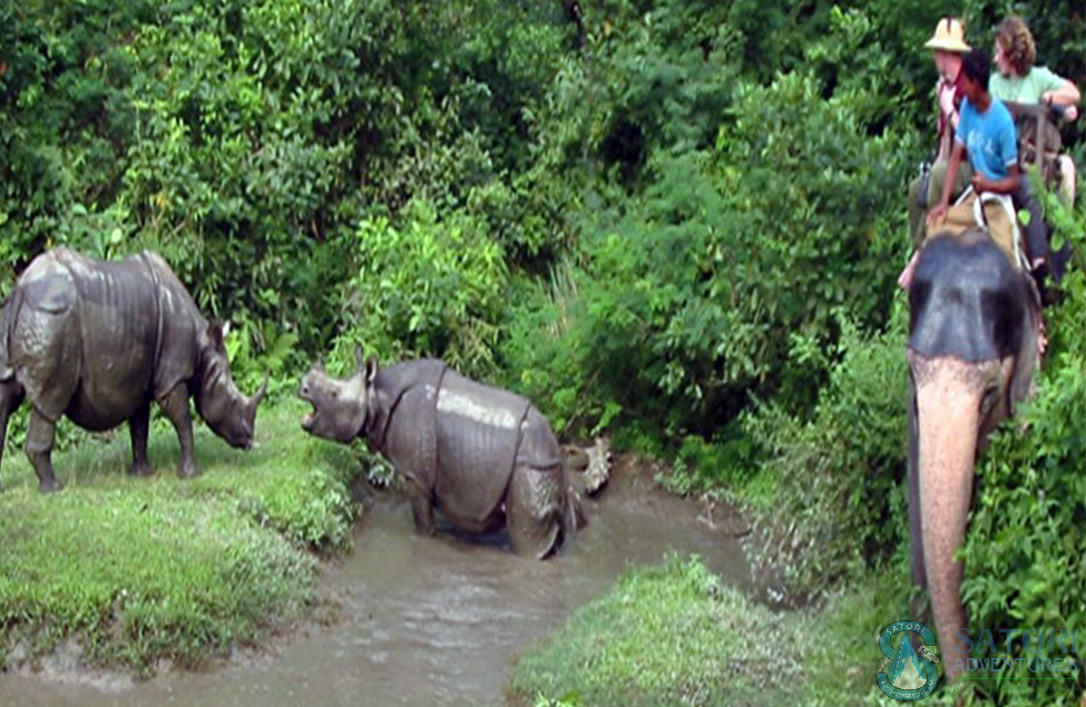  Annapurna View Trek, Rafting, Jungle Safari And Mountain Flight Tour 