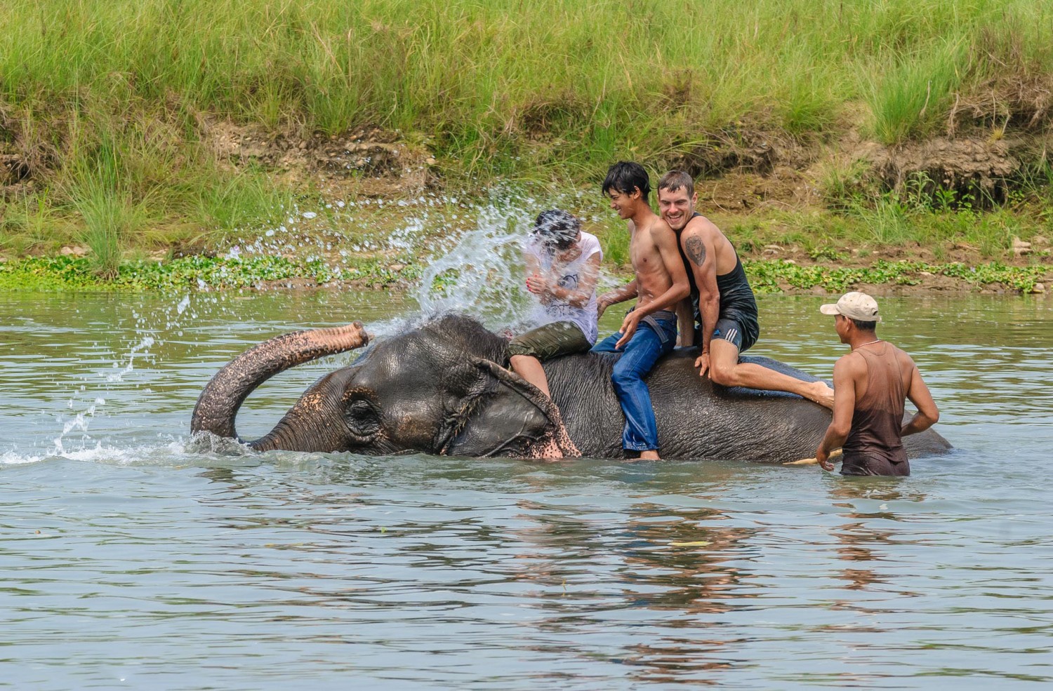 Chitwan National park