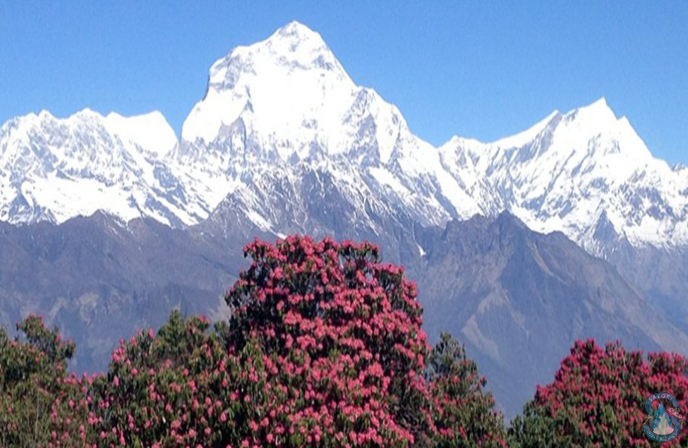 Dhampus Sarangkot Trekking