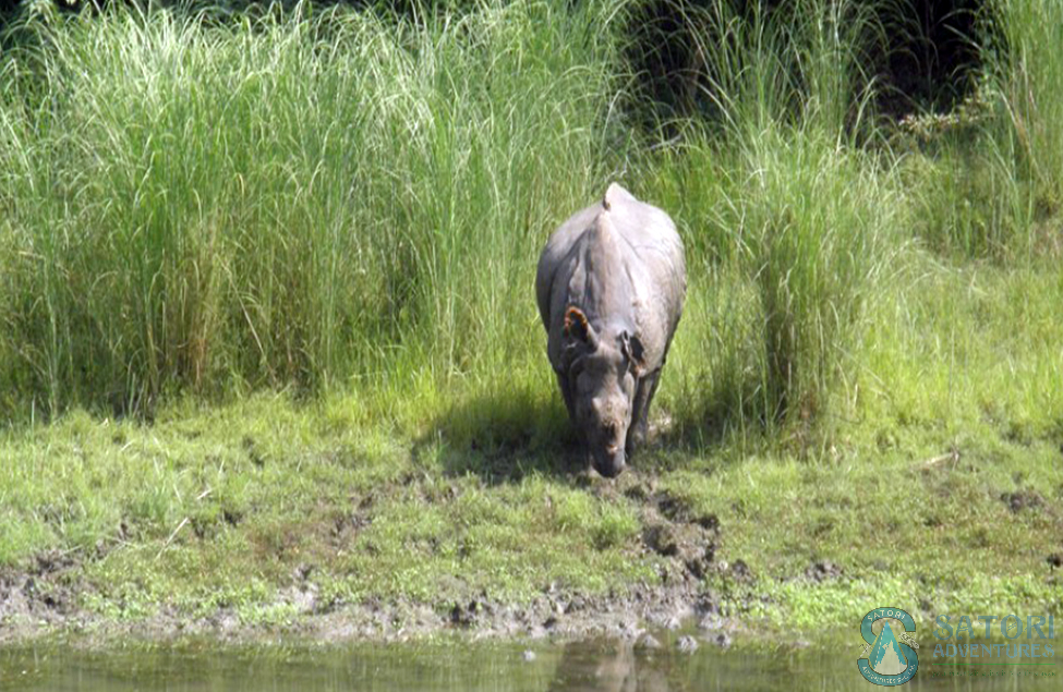 Everest Flight, Jungle Safari & Pokhara Tour