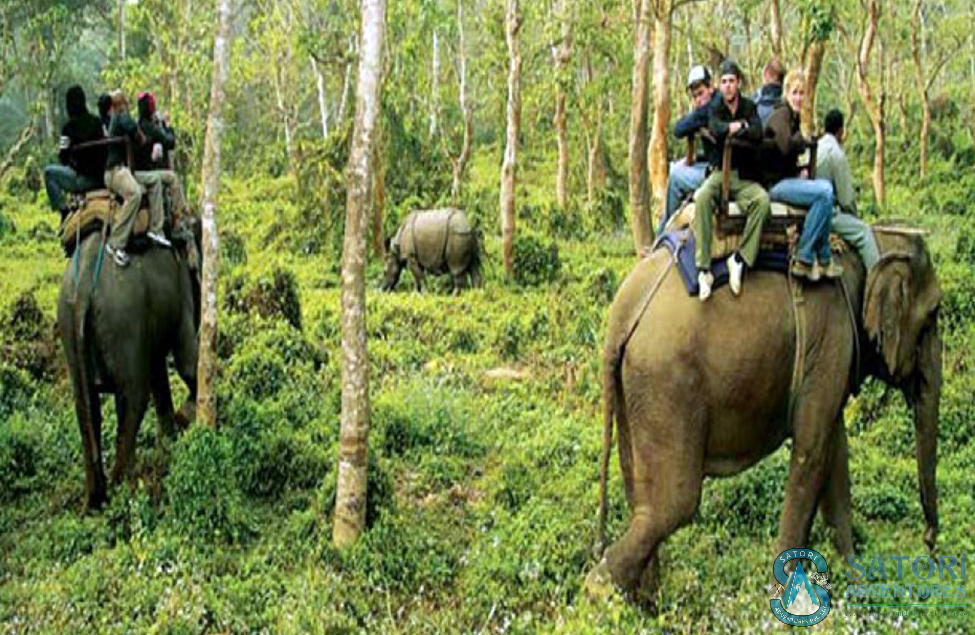  Family Tour In Nepal 