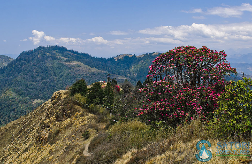  Ghorepani Poon Hill Trek 