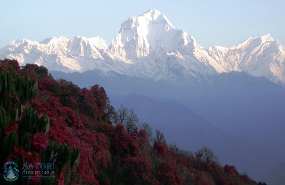  Ghorepani Poon Hill Treks 