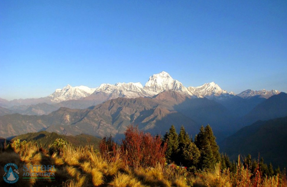  Ghorepani Poon Hill Treks 