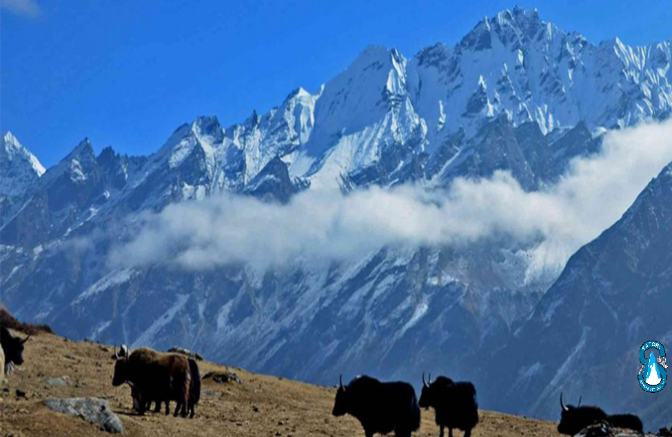  Langtang Gosaikunda Trekking 