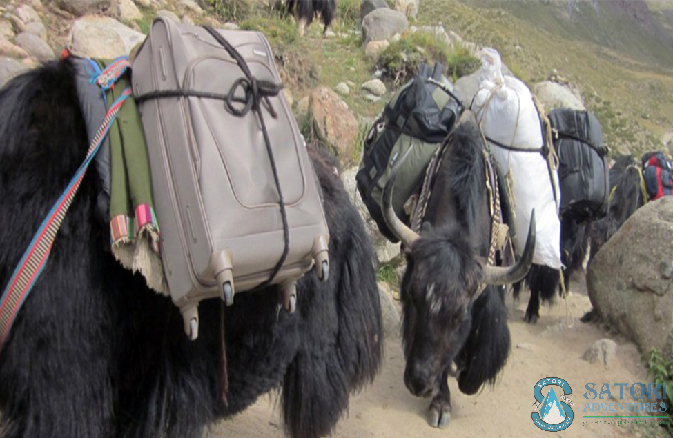  North Everest Base Camp Lhasa Tour 